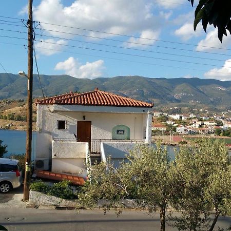 Olive Trees Βίλα Πόρος Εξωτερικό φωτογραφία