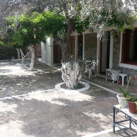 Olive Trees Βίλα Πόρος Εξωτερικό φωτογραφία