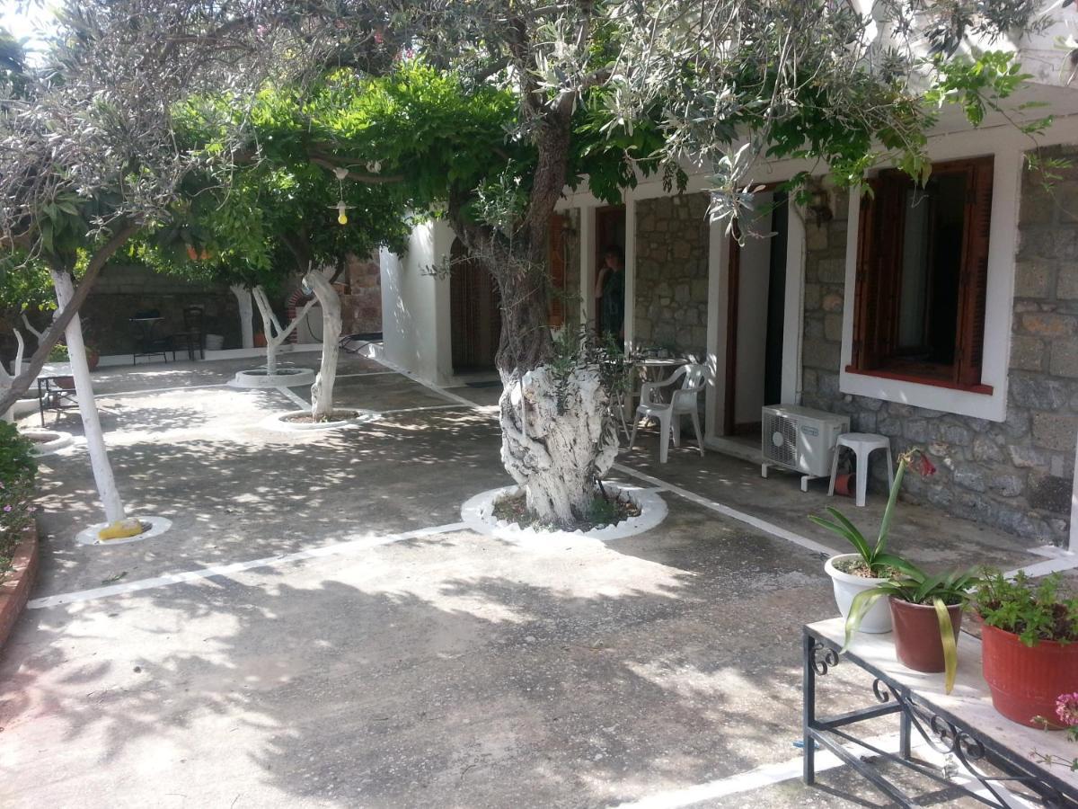 Olive Trees Βίλα Πόρος Εξωτερικό φωτογραφία